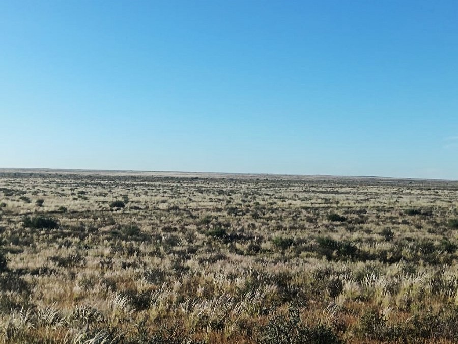 Commercial Property for Sale in Calvinia Rural Northern Cape